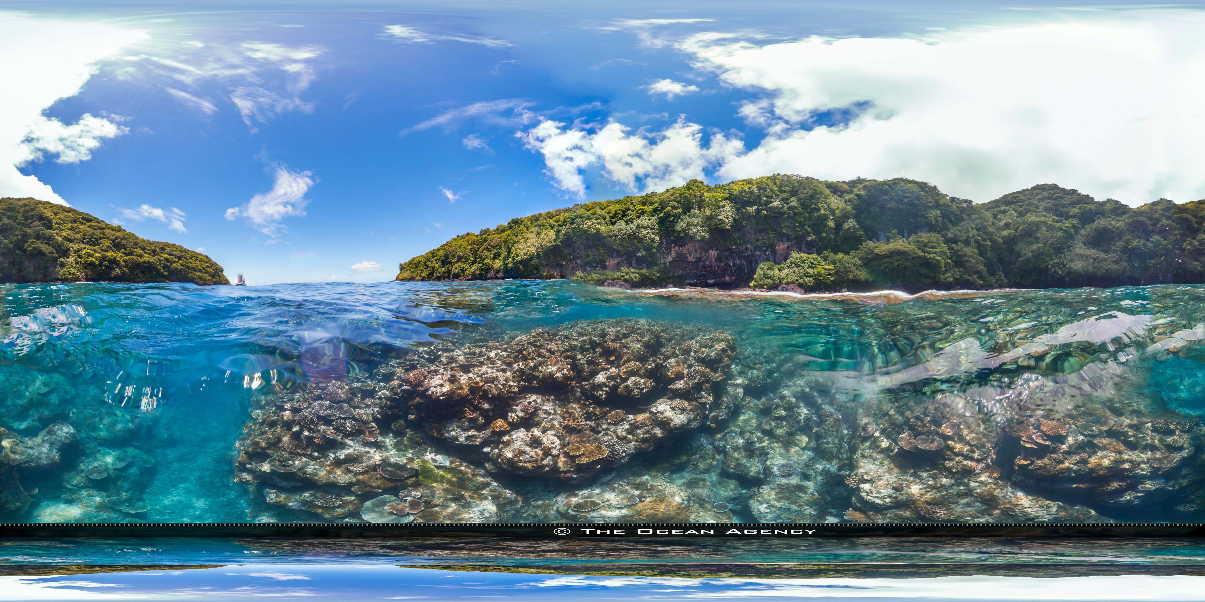 Above and below the ocean surface