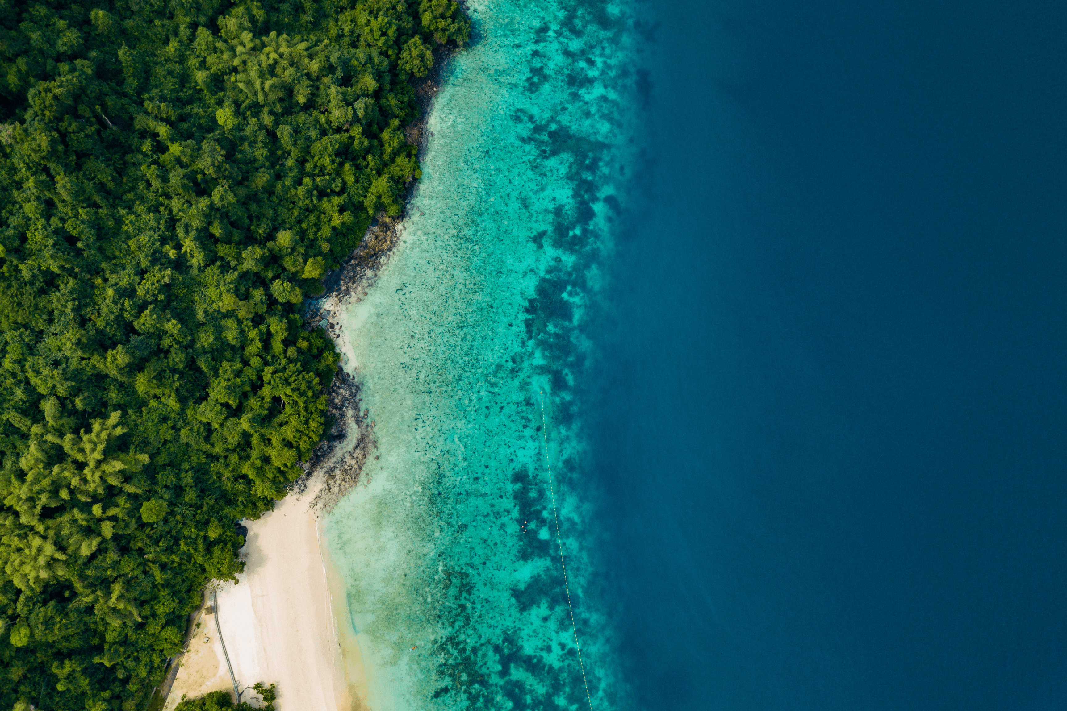 An aerial view of the seashore